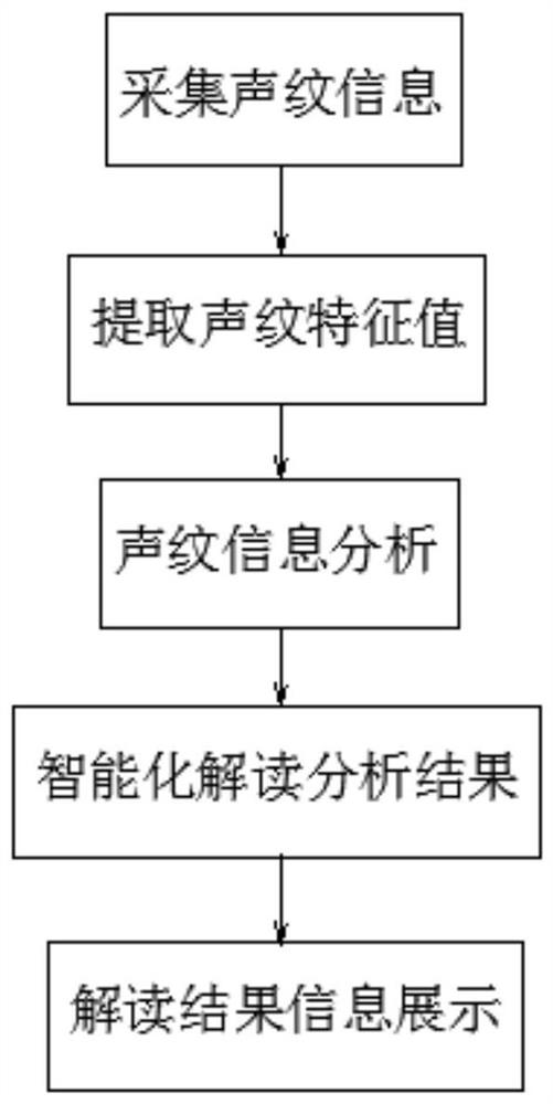 一种基于声纹识别技术的血管声纹识别诊疗系统及其诊疗方法