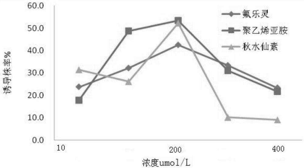 一种利用聚乙烯亚胺诱导玉米无融合生殖的育种方法及应用