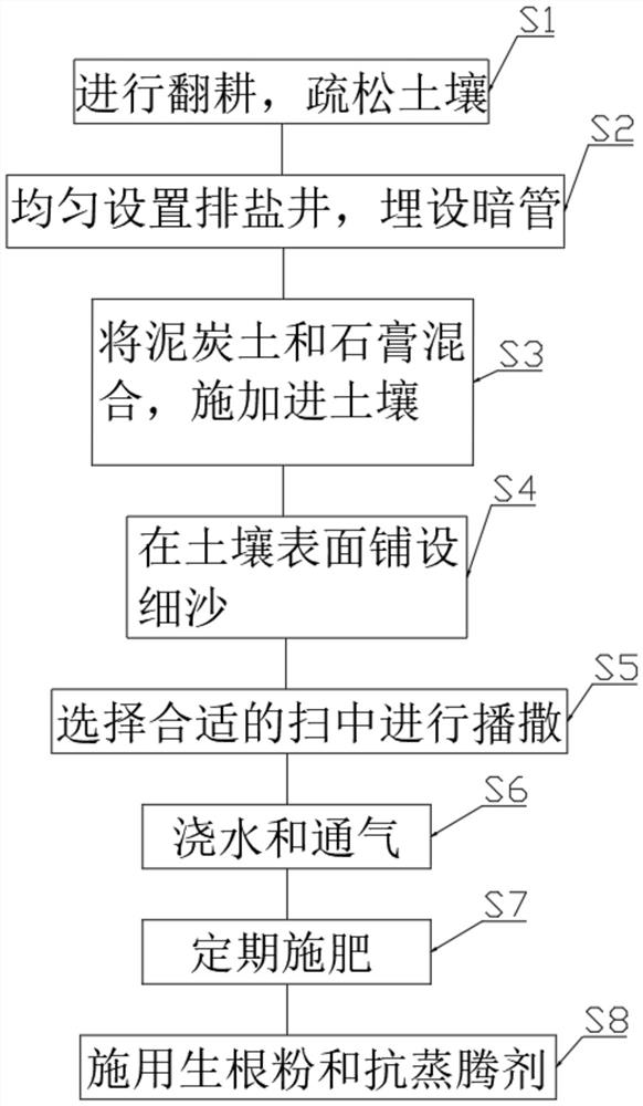 一种盐碱地草坪种植方法