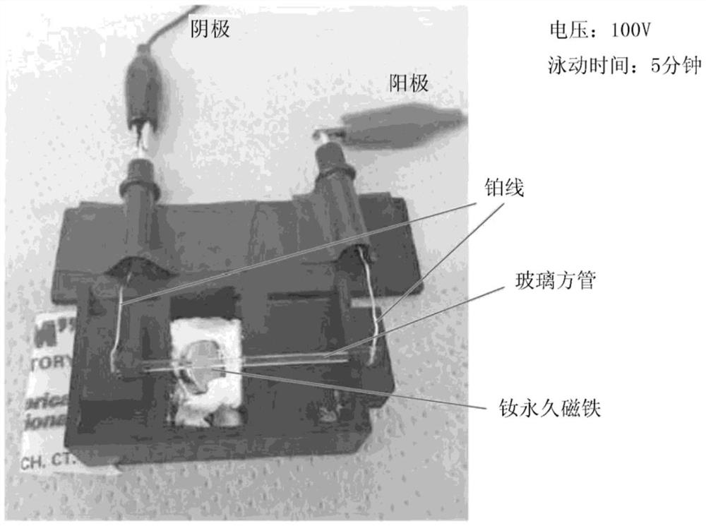 目标物质的分离方法和定量方法