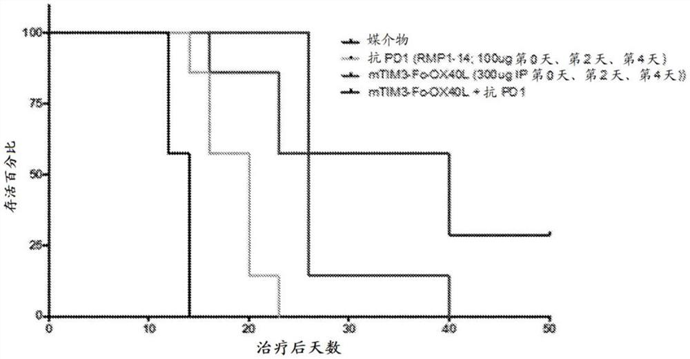 包含基于TIM-3的嵌合蛋白的组合疗法