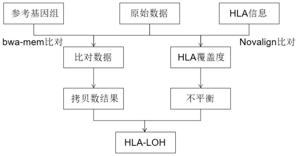 检测HLA杂合性缺失的方法及系统