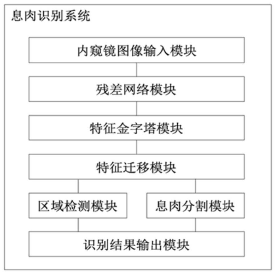 一种基于内窥镜图像的息肉识别系统和方法