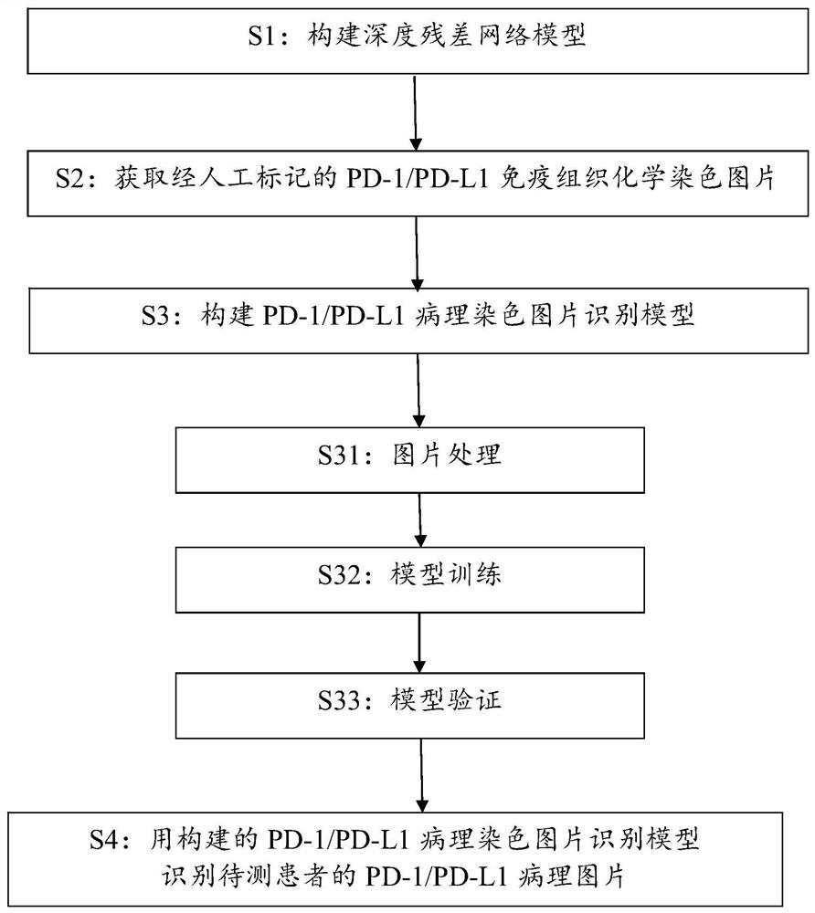 一种基于深度学习的PD-1/PD-L1病理图片识别方法和装置