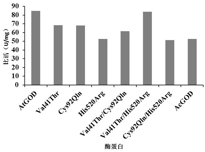 一种超耐热葡葡糖氧化酶AtGOD及其基因和应用