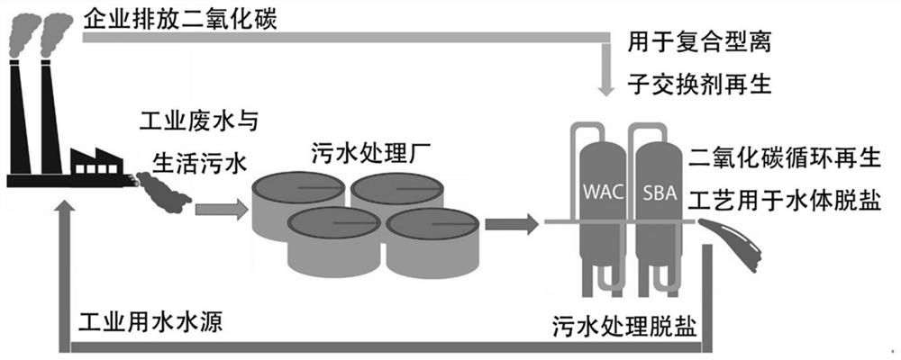 一种同时实现水体净化与碳减排的循环二氧化碳再生离子交换系统及工艺