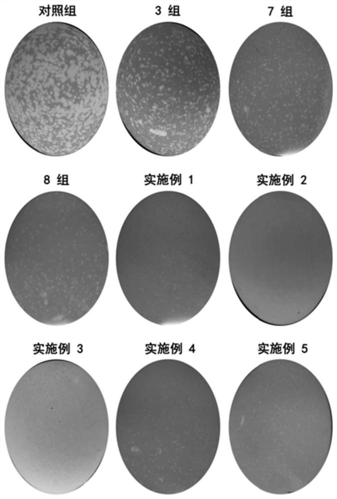 一种降低鸡蛋暗斑率的添加剂及方法