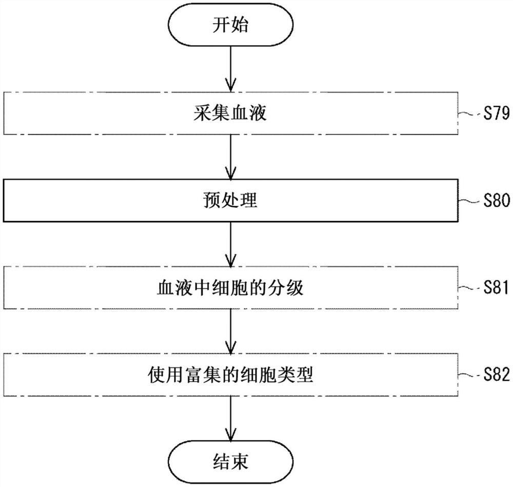 使用微通道对血液进行预处理以对血细胞进行分级