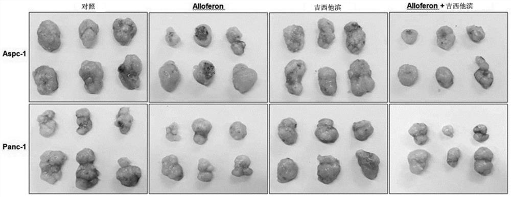 含有Allereron的用于治疗胰腺癌的组合物和治疗辅助剂