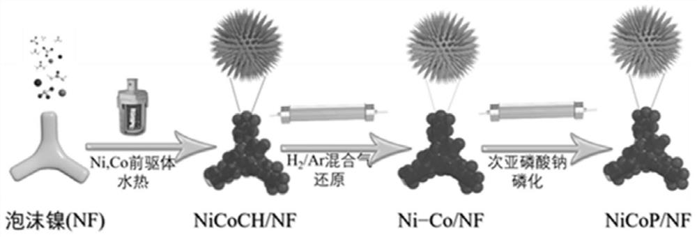 一种具有海胆状形貌的整体式过渡金属磷化物电催化剂及其制备方法与应用