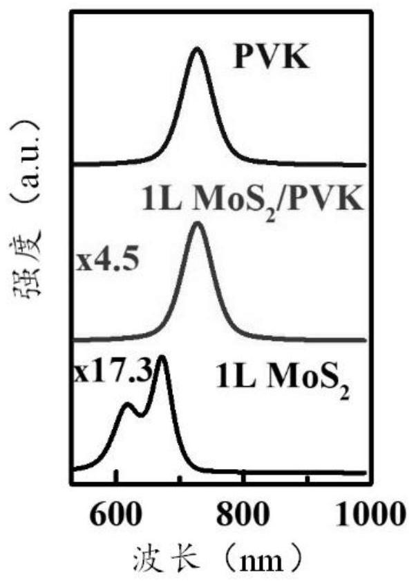 一种PVK-TMDCs范德华异质结及其制备方法