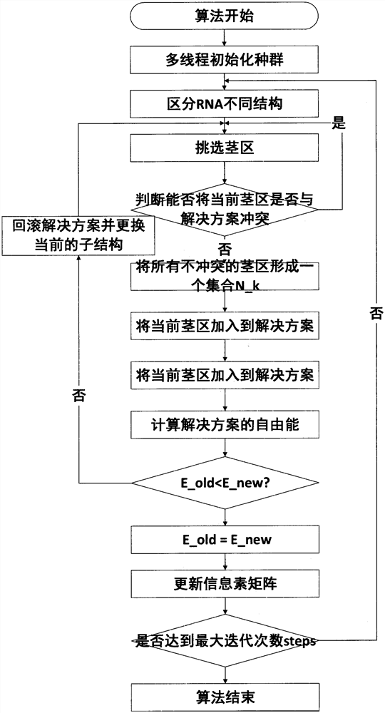 一种基于并行改进人工蚁群算法的RNA二级结构预测方法