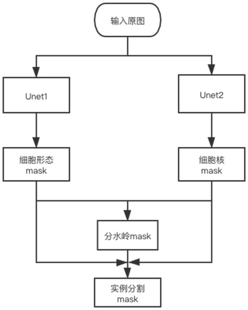 一种基于Unet和分水岭算法的细胞实例分割方法