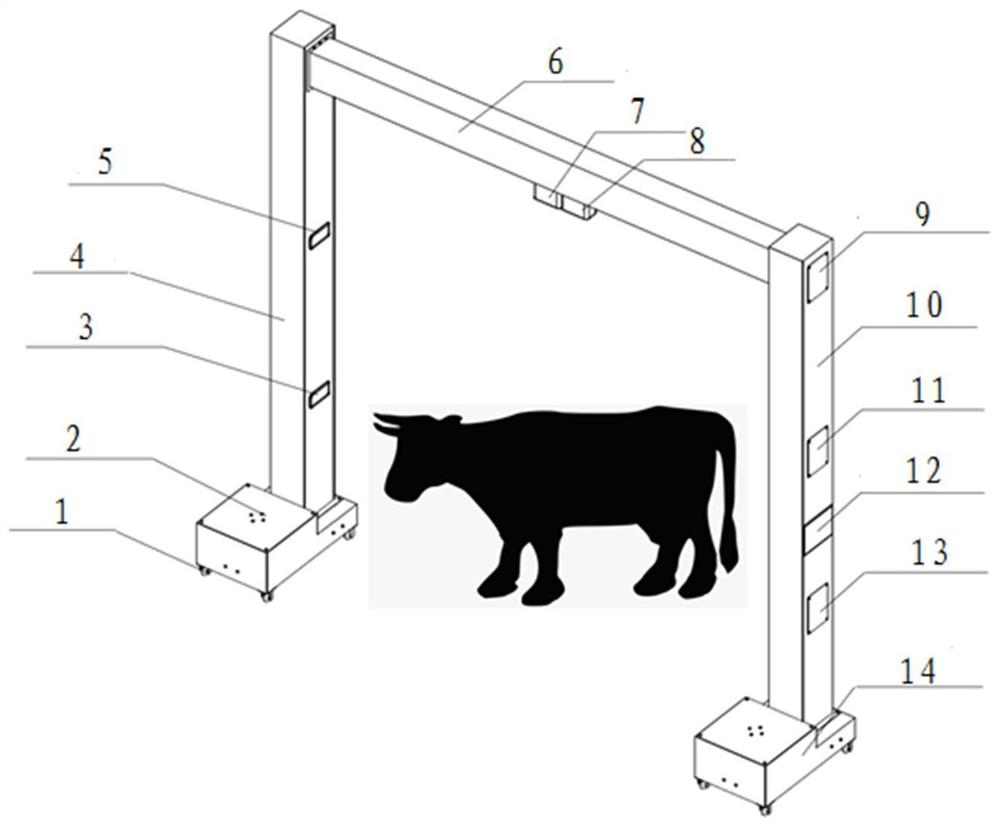 肉牛体尺非接触测量装置及方法