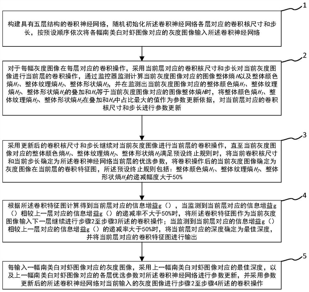 基于自适应卷积神经网络的南美白对虾品质检测方法