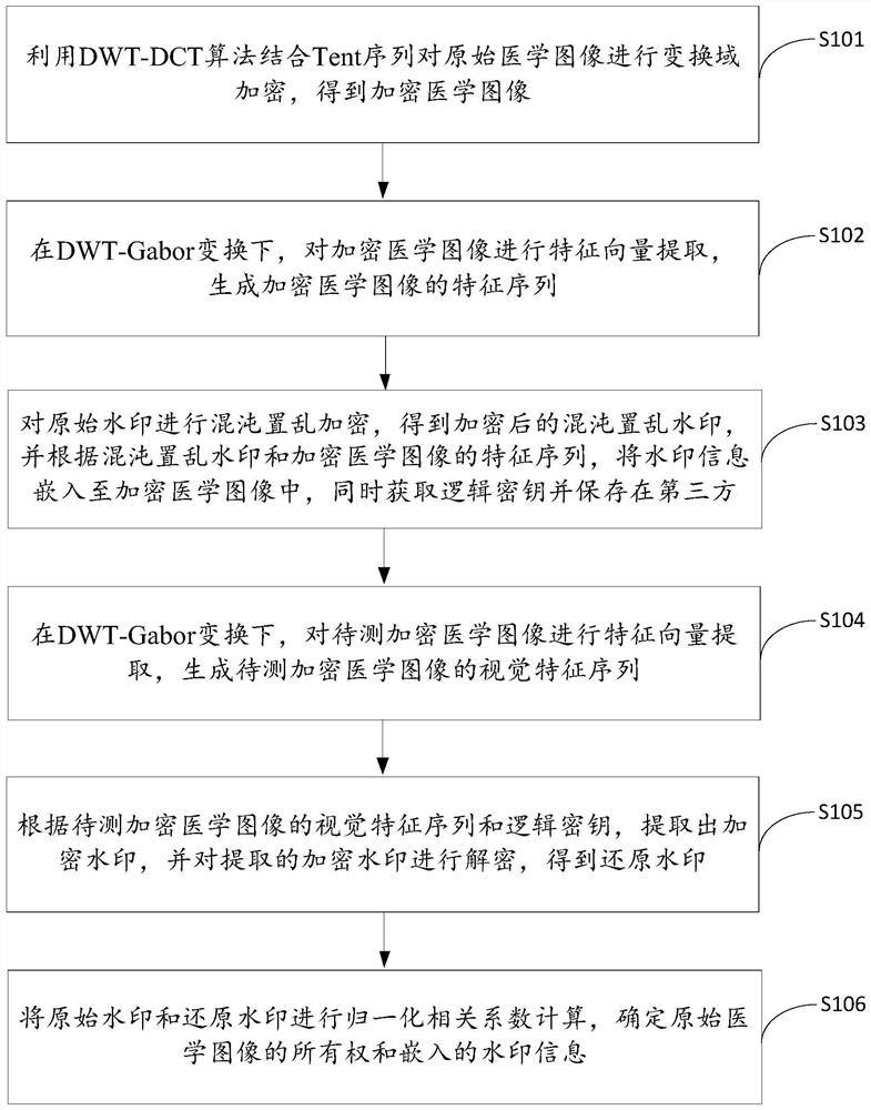 基于DWT-Gabor的加密医学图像鲁棒水印方法