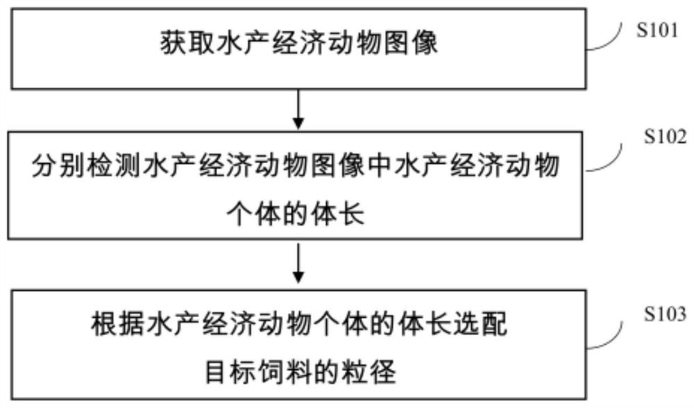 水产养殖投喂方法、终端设备及可读存储介质