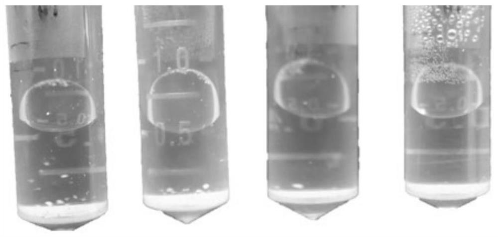 代谢酶诱导微纳塑料颗粒生物降解方法及其产物分析方法