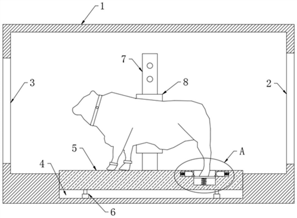 一种具有固定功能的牲畜称重装置