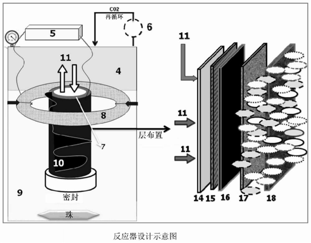 用于二氧化碳的生物转化的无膜反应器设计和工艺