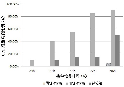 用于检测高致病性PRRSV的单克隆抗体及应用