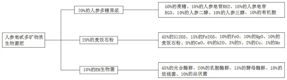 一种人参皂甙多矿物质生物菌肥