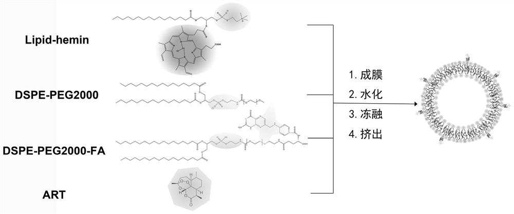 包封青蒿素的血红素纳米囊泡、制备方法和用途