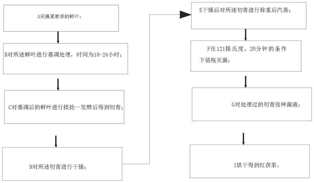 夏秋茶原料加工红茯茶的工艺方法