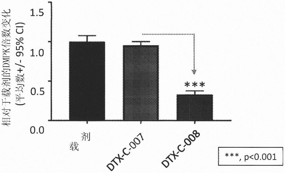 肌肉靶向复合物及其用途