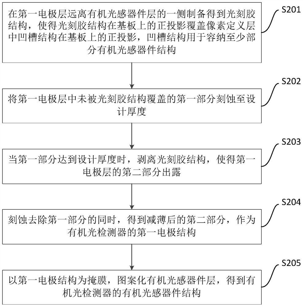 有机光检测器及其制备方法、显示面板、显示设备