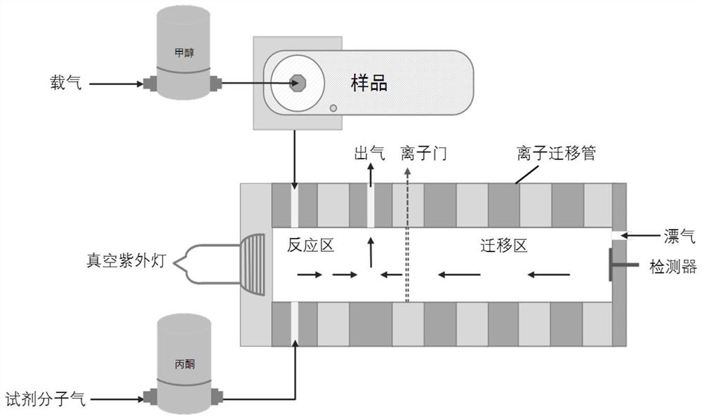 一种基于离子迁移谱仪的氧化三甲胺检测方法及其应用