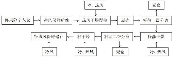 一种油茶鲜果前处理工艺