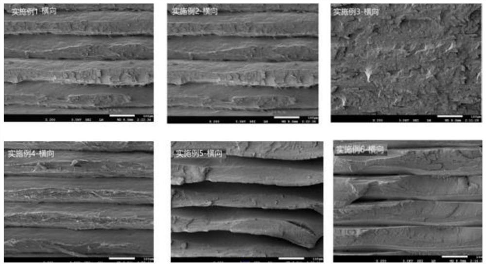 一种用于3D打印的可生物降解纳米复合材料