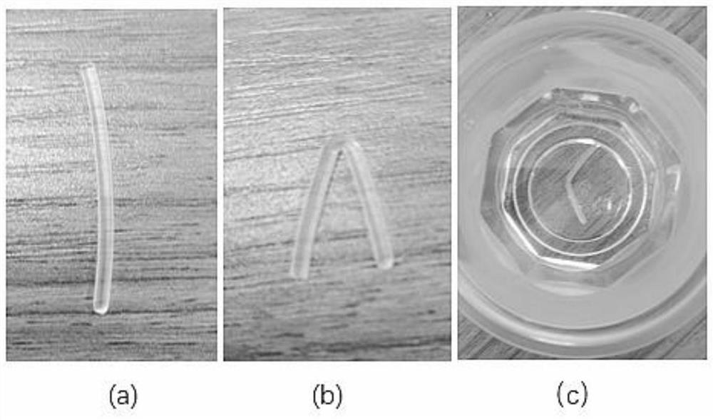 一种可生物降解的4D打印形状记忆材料及其制备方法