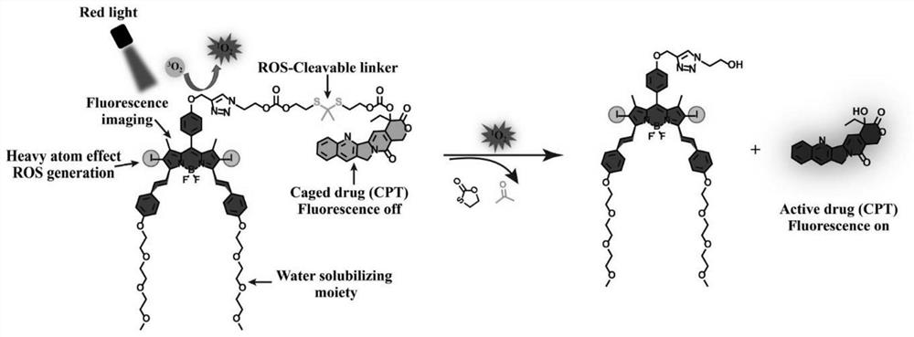 一种红光可激活的光动力治疗-化疗联用前药及其制备和应用