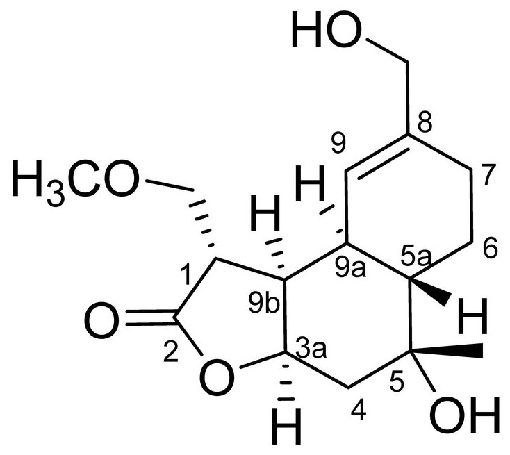 一种从牛蒡叶中提取的具有抗炎活性的新化合物NBY-16及其制备方法与应用