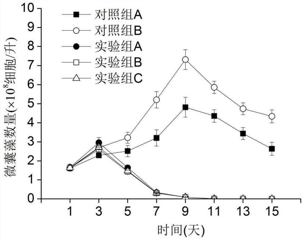 一种治理淡水水体蓝藻水华的方法