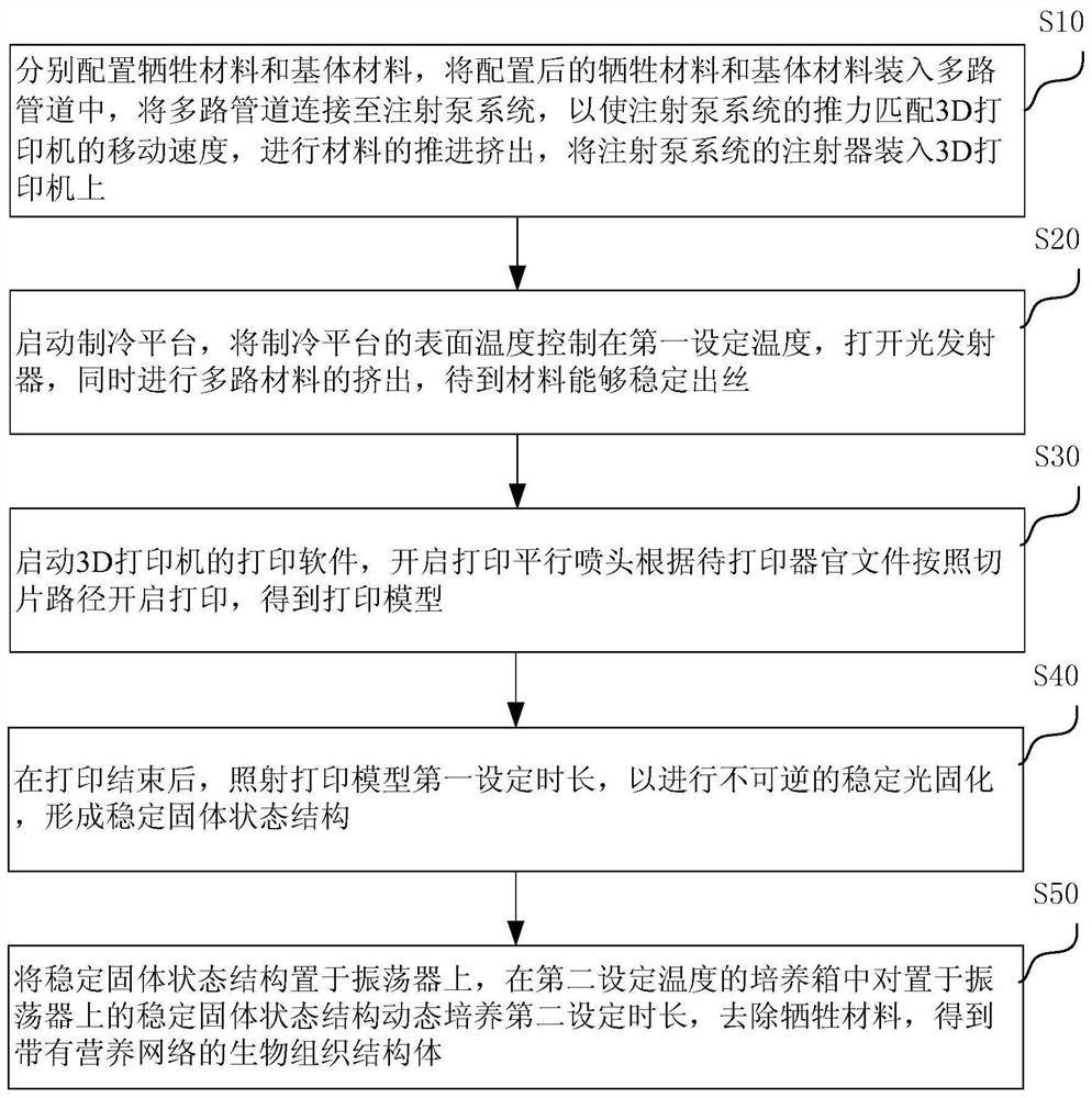 基于营养流道的生物3D打印方法