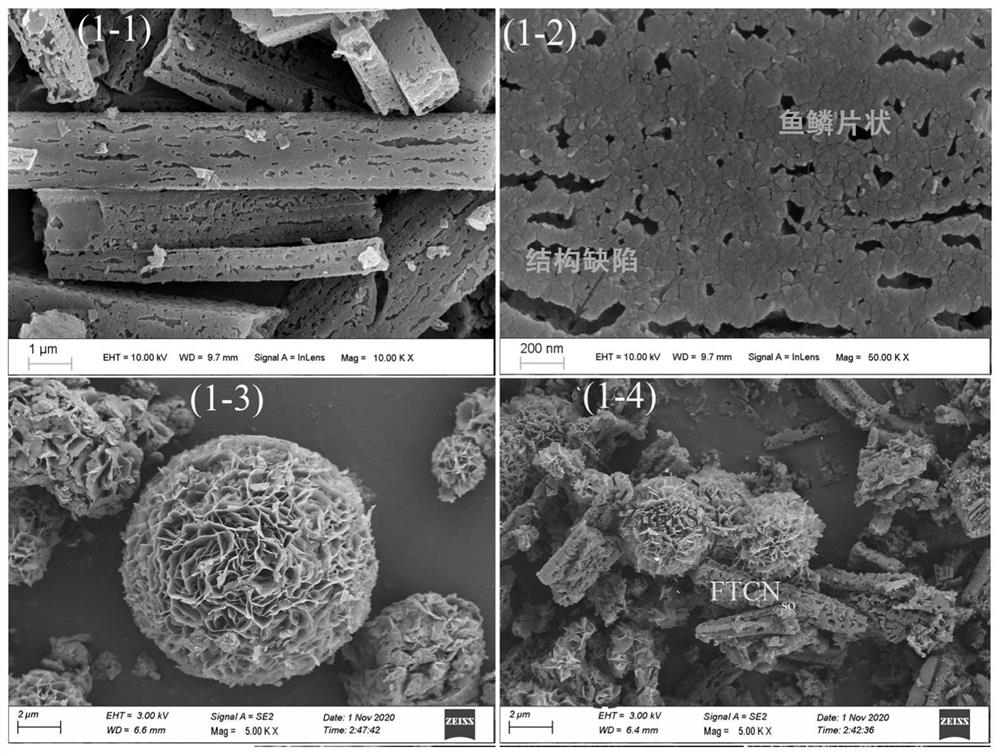 鱼鳞片管状氮化碳复合异质结光催化剂及其制备方法和应用