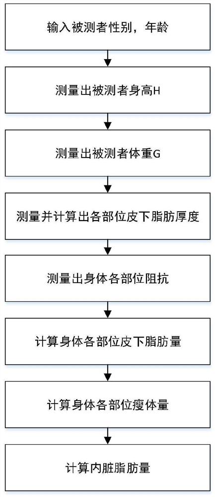 一种内脏脂肪测量方法、装置、设备及存储介质