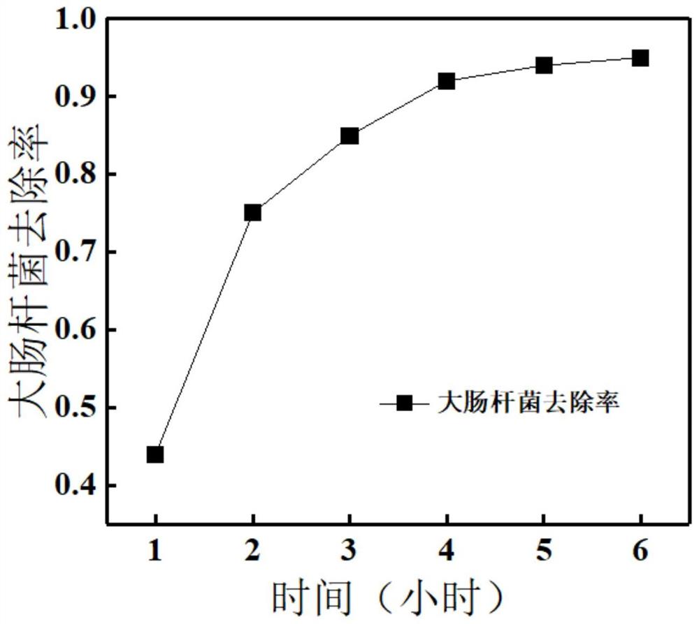 一种无机抗菌膜的制备方法及其应用