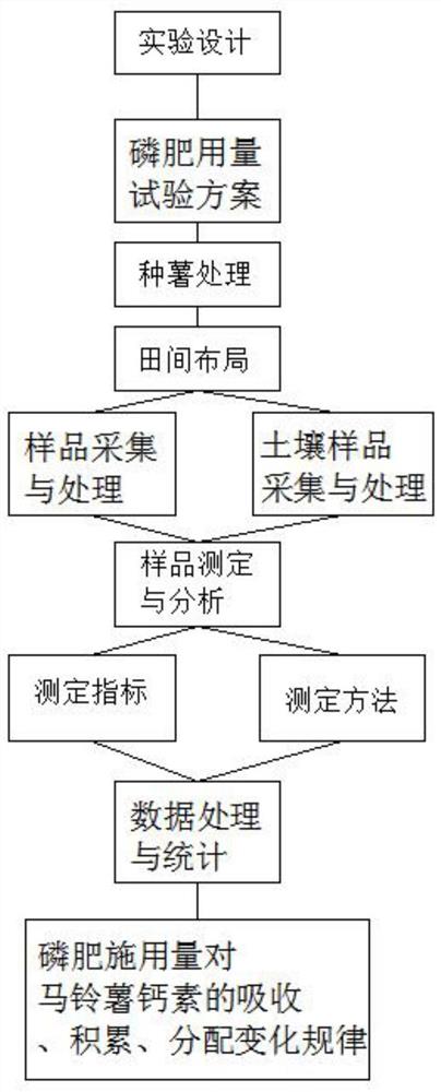 一吨冬作马铃薯块茎对钙养分需求量的确定