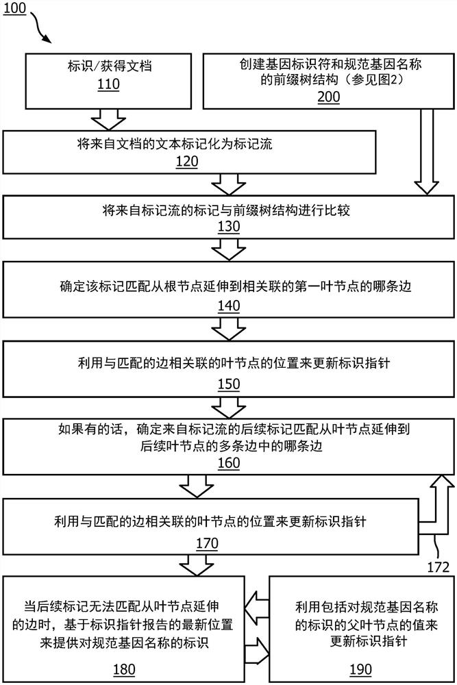 医学文本中对基因名称的标准化的方法和系统