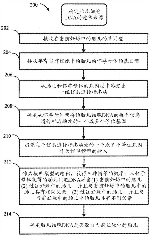 确定从怀孕母体分离的循环胎儿细胞来自当前妊娠或过往妊娠的方法