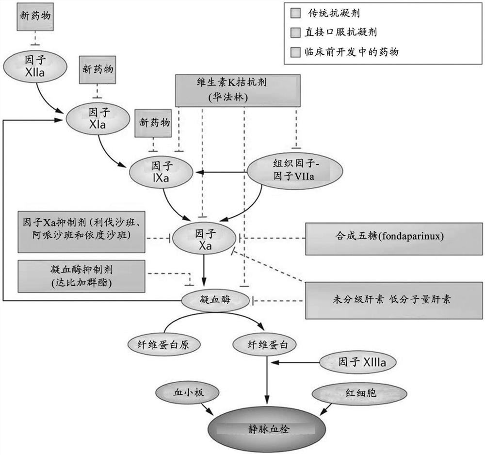 与核酸抗凝剂有关的组合物和方法