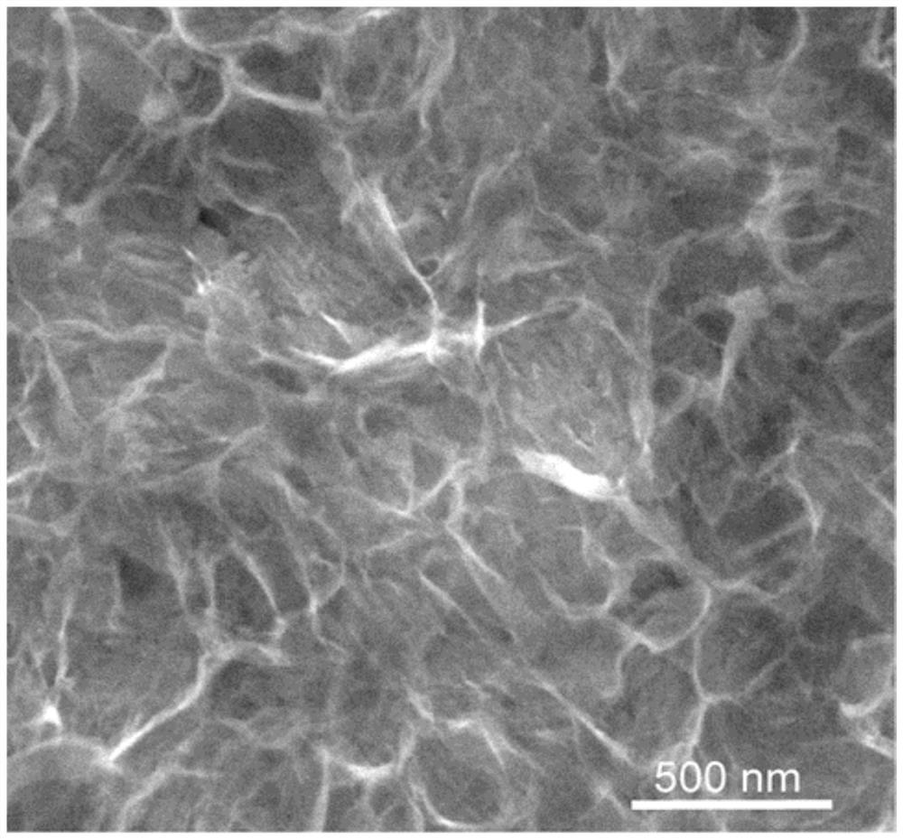 锌/碳纳米管泡沫复合材料及其制备方法和应用