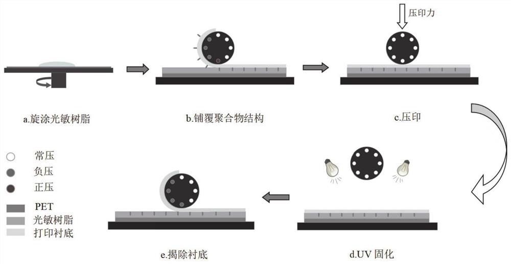 壳-核结构的金属网格可拉伸透明电极及制备方法、应用