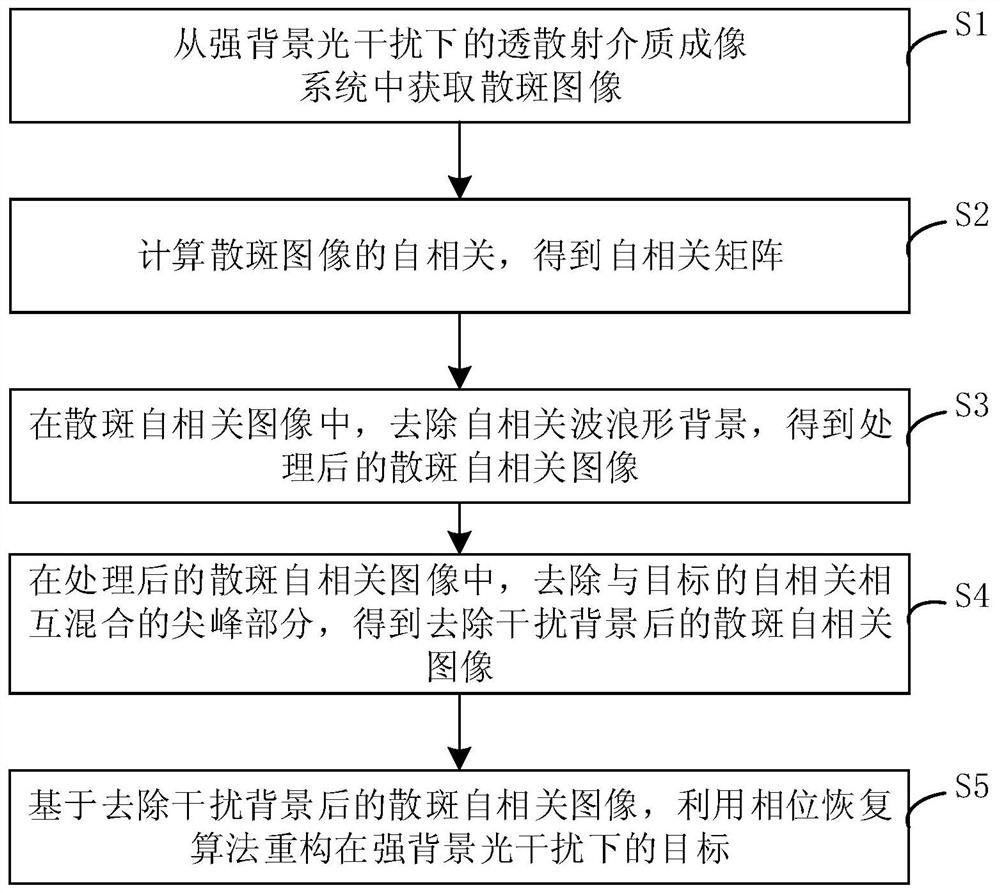 一种单帧强背景干扰下的透散射介质成像方法