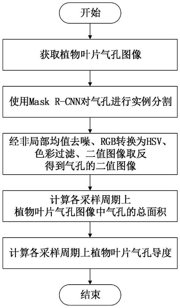 基于深度学习和图像处理的植物叶片气孔导度测量方法