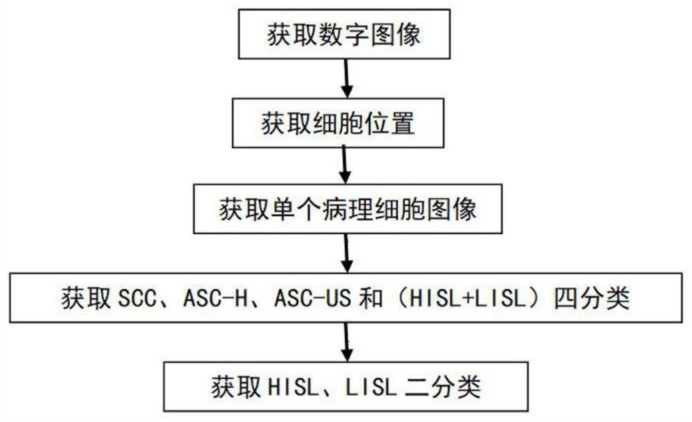 基于液基薄层细胞检测技术TCT的宫颈癌细胞智能检测方法